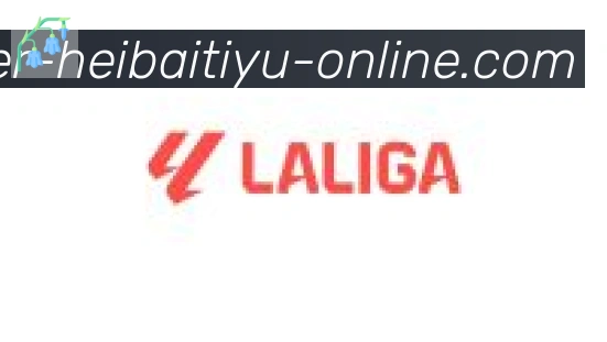 黑白体育直播合作伙伴